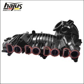 Acquista Puleggia cinghia albero a gomiti da hajus Autoteile 1091026 a buon mercato per soli 85,84 €