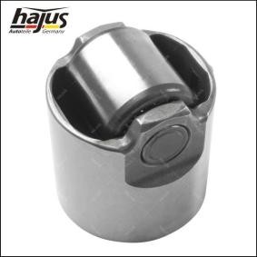 Achetez des Pilon, Pompe à haute pression hajus Autoteile 1091050 à prix pour 25,98 €