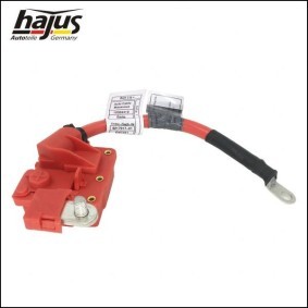 Kühlwasserthermostat von hajus Autoteile