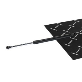 Achetez des Vérin de coffre RIDEX 219G1083 à prix pour 36,27 €