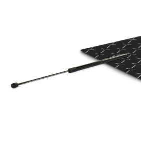 Heckklappendämpfer von RIDEX für C4 Picasso I (UD_) günstig online kaufen