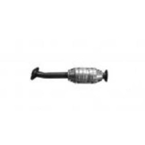 Acquista Catalizzatore da IZAWIT 21.906 a buon mercato per soli 125,51 €