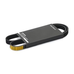 Achetez des Courroie Poly-V RIDEX 305P0612 à prix pour 6,76 €
