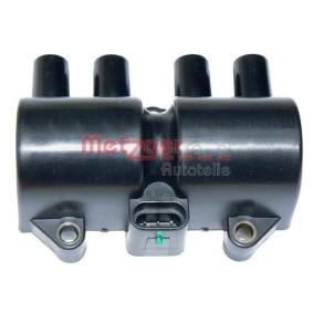Acquista Bobina d'accensione da METZGER 0880095 a buon mercato per soli 75,33 €