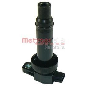 Acquista Bobina d'accensione da METZGER 0880147 a buon mercato per soli 57,54 €