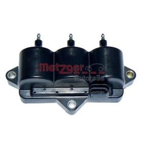 Acquista Bobina d'accensione da METZGER 0880156 a buon mercato per soli 277,55 €