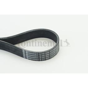 Keilrippenriemen 8PK954 EXTRA