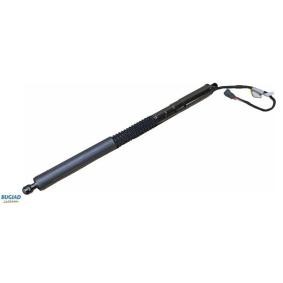 Heckklappendämpfer BRD50708