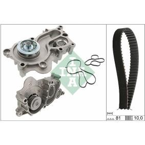 Achetez des Kit de distribution + pompe à eau INA 530 0744 30 à prix pour 111,64 €