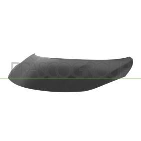 Motorhaube DS3543100