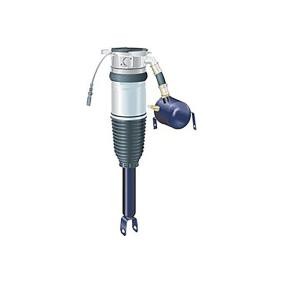 Acquista Ammortizzatore pneumatico da Continental 28.0200-0002.4 a buon mercato per soli 1335,85 €