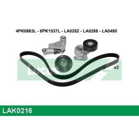 Keilrippenriemensatz LAK0216 für BMW