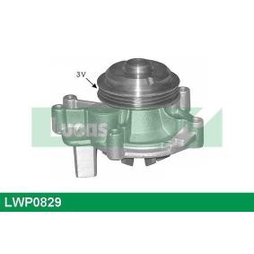 Achetez des Pompe à eau LUCAS LWP0829 à prix pour 68,75 €