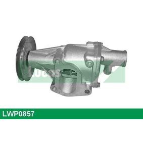 Achetez des Pompe à eau LUCAS LWP0857 à prix pour 60,34 €