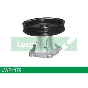 Comprar Bomba de agua de LUCAS LWP1170 a bajo precio de 65,32 €