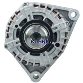 Lichtmaschine 556282RI