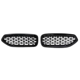 Kühlergrill 6502-07-0089999P
