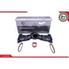 Luftmassenmesser (LMM) 07SKV999