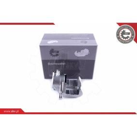 Bremssattel 50SKV824