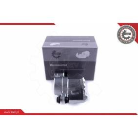 Bremssattel 55SKV291