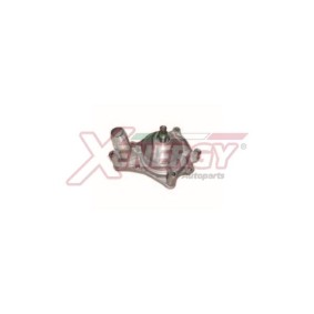 Achetez des Pompe à eau AP XENERGY X208049 à prix pour 79,47 €