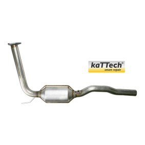 Acquista Catalizzatore da BLUEKAT 1004013 a buon mercato per soli 381,33 €