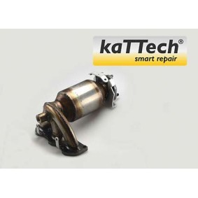 Acquista Catalizzatore da BLUEKAT 1004020 a buon mercato per soli 359,28 €