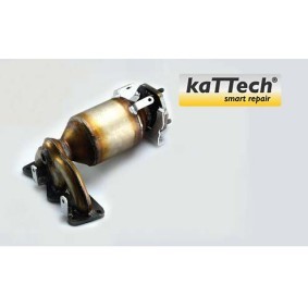 Acquista Catalizzatore da BLUEKAT 1004023 a buon mercato per soli 359,28 €