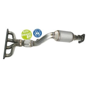 Acquista Catalizzatore da BLUEKAT 22302050 a buon mercato per soli 205,70 €