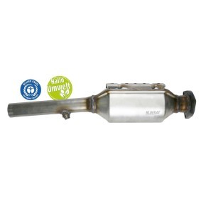 Acquista Catalizzatore da BLUEKAT 22304001 a buon mercato per soli 310,52 €