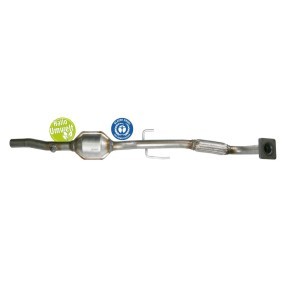 Acquista Catalizzatore da BLUEKAT 22304009 a buon mercato per soli 381,24 €