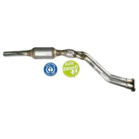 Acquista Catalizzatore da BLUEKAT 22304015 a buon mercato per soli 452,36 €