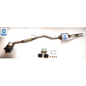 Acquista Catalizzatore da BLUEKAT 22304055 a buon mercato per soli 492,08 €