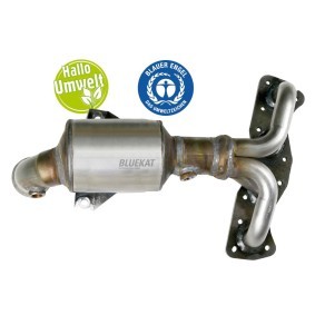 Acquista Catalizzatore da BLUEKAT 22307050 a buon mercato per soli 467,87 €