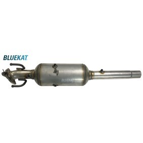 Acquista Filtro antiparticolato (FAP) da BLUEKAT 447011 a buon mercato per soli 671,98 €