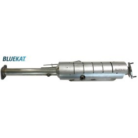 Acquista Filtro antiparticolato (FAP) da BLUEKAT 556011 a buon mercato per soli 743,60 €