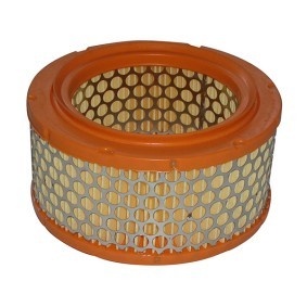 Luftfilter D6104 für FIAT
