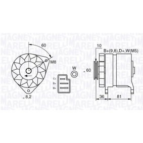 Lichtmaschine 063534892520 von MAGNETI MARELLI günstig für 218,94 € online kaufen