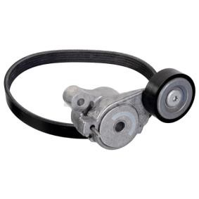 Achetez des Jeu de courroies trapézoïdales à nervures SWAG 33 10 4404 à prix pour 60,63 €