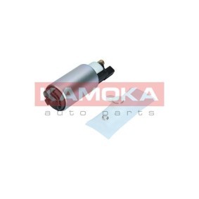 Kraftstoffpumpe 8410037