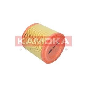 Luftfilter F253301