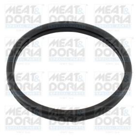 SSANGYONG Dichtung, Thermostat von MEAT & DORIA