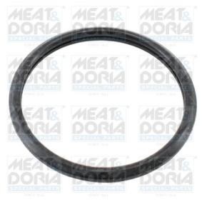 Dichtung, Thermostat 01685