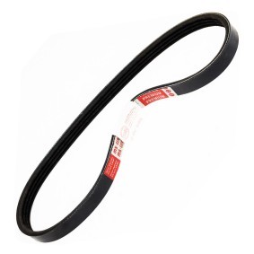 Achetez des Courroie Poly-V MASTER-SPORT 4PK645-PCS-MS à prix pour 4,42 €