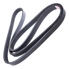Acquista Cinghia servizi da MASTER-SPORT 5PK1510-PCS-MS a buon mercato per soli 8,94 €