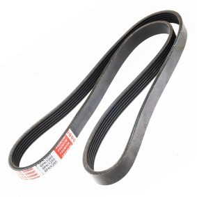 Compre Correia trapezoidal estriada da MASTER-SPORT 6PK1280-PCS-MS a um preço baixo por 12,70 €
