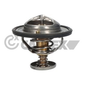MAZDA Kühlwasserthermostat von CAUTEX