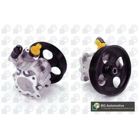 Servopumpe PSP1408 für BOXER Bus (244, Z_) für 335,96 CHF