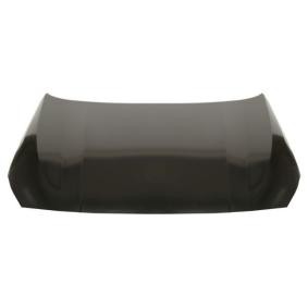 Motorhaube 6803-00-0073280P