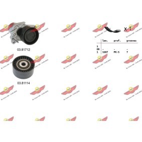 Acquista Kit Cinghie Poly-V da AUTOKIT 06.0133 a buon mercato per soli 171,28 €
